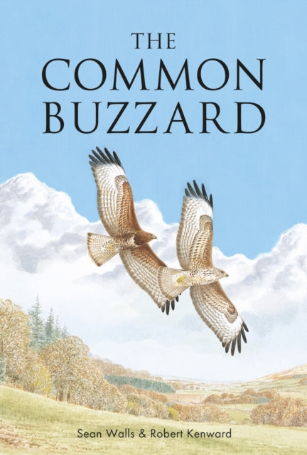 Book cover of: Common Buzzard. By: Sean Walls