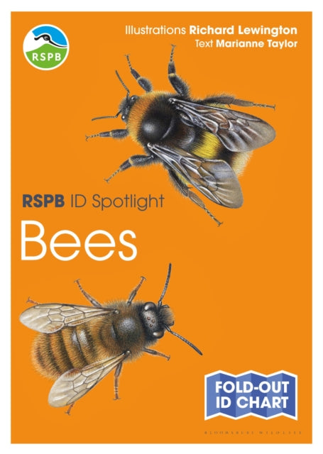 RSPB ID Spotlight - Bees