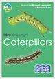 Book cover of: RSPB ID Spotlight - Caterpillars. By: Marianne Taylor