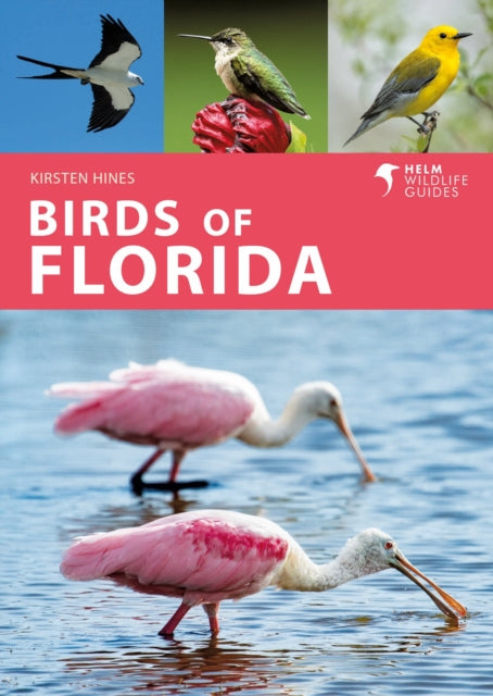 Book cover of: Birds of Florida. By: Kirsten Hines