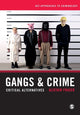 Book cover of: Gangs & Crime. By: Alistair Fraser