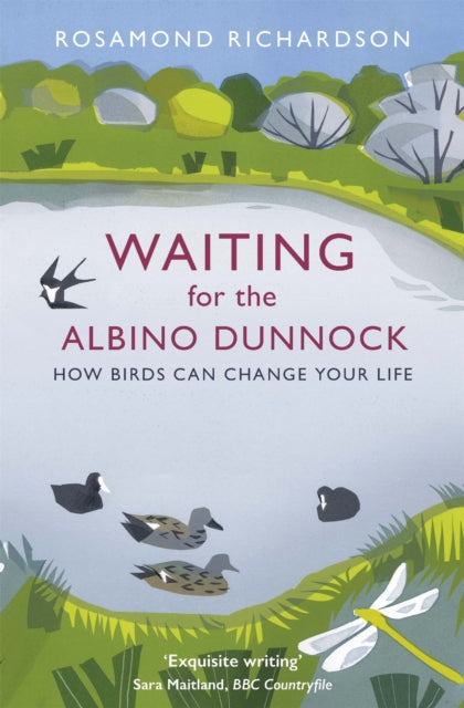 Book cover of: Waiting for the Albino Dunnock. By: Rosamond Richardson