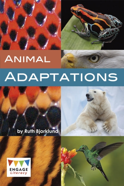 Book cover of: Animal Adaptations. By: Ruth Bjorklund
