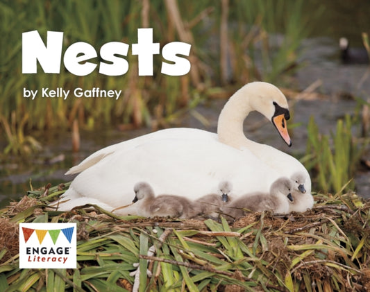 Book cover of: Nests. By: Kelly Gaffney
