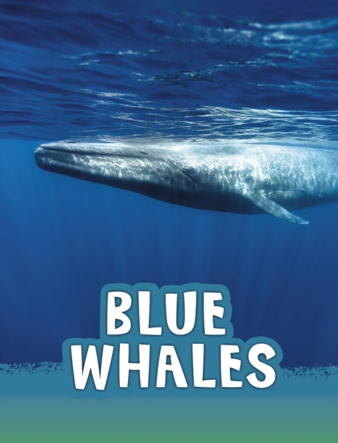 Book cover of: Blue Whales