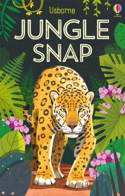 Jungle Snap 9781474956802 Lucy Bowman
