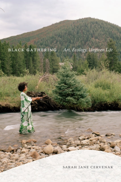 Book cover of: Black Gathering. By: Sarah Jane Cervenak