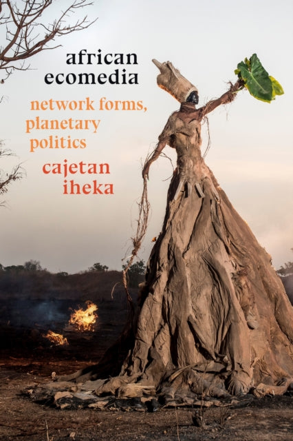 Book cover of: African Ecomedia. By: Cajetan Iheka