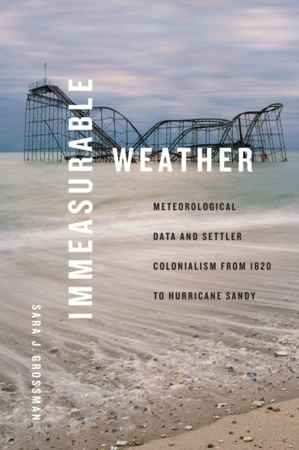 Book cover of: Immeasurable Weather. By: Sara J. Grossman