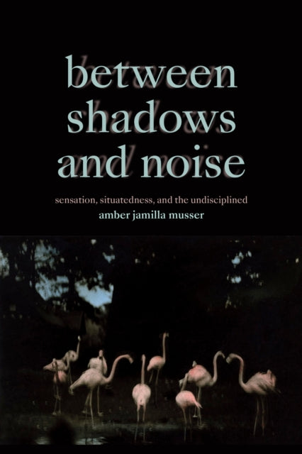 Book cover of: Between Shadows and Noise. By: Amber Jamilla Musser