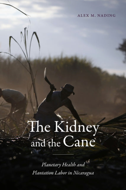 Book cover of: Kidney and the Cane