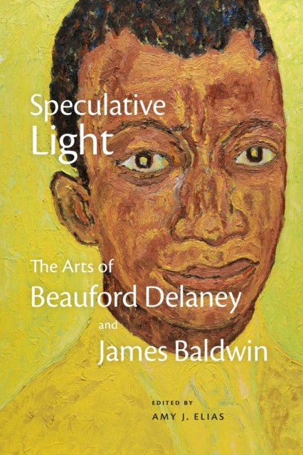 Book cover of: Speculative Light. By: Amy J. Elias