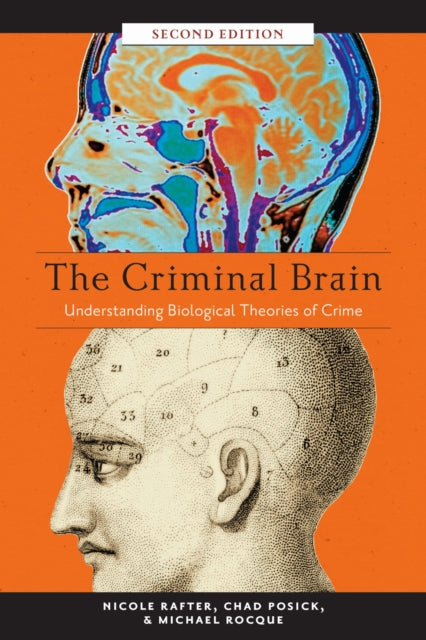 Criminal Brain