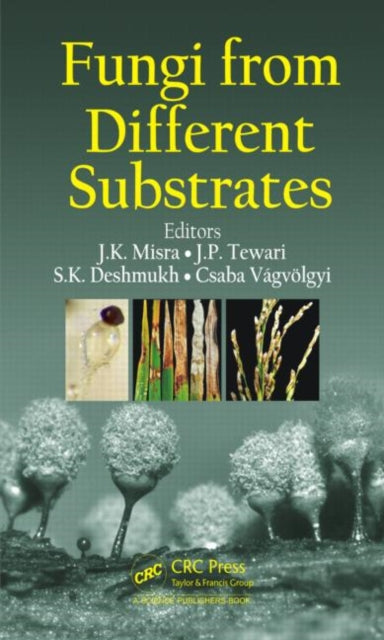 Book cover of: Fungi From Different Substrates. By: J. K. Misra