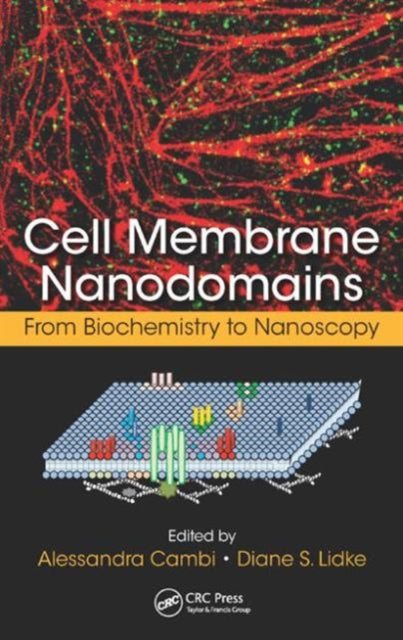 Book cover of: Cell Membrane Nanodomains. By: Alessandra Cambi