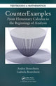 Book cover of: CounterExamples. By: Andrei Bourchtein