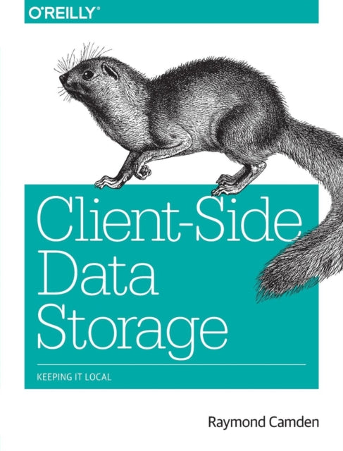Book cover of: Client–Side Data Storage. By: Raymond Camden