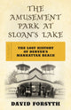 Book cover of: Amusement Park at Sloan's Lake. By: David Forsyth