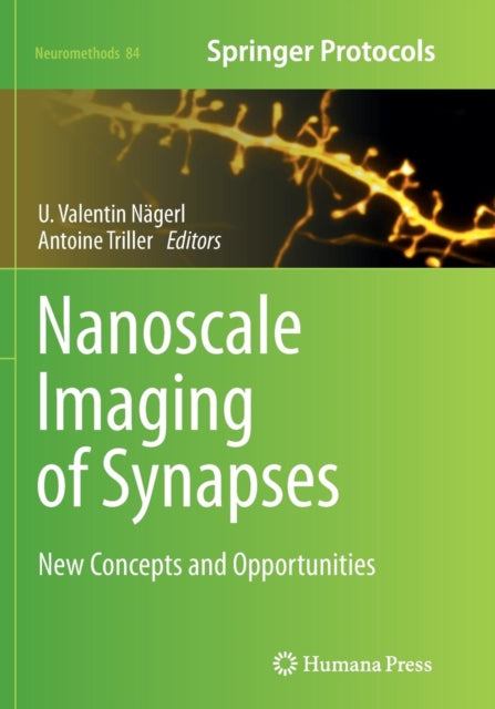 Book cover of: Nanoscale Imaging of Synapses. By: Valentin Nagerl