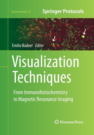 Visualization Techniques