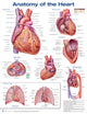 Book cover of: Anatomy of the Heart