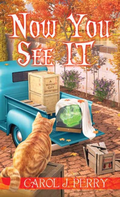 Book cover of: Now You See It. By: Carol J. Perry