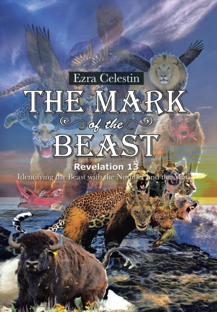 Book cover of: Mark of the Beast Revelation 13
