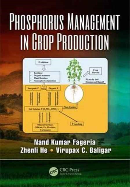 Book cover of: Phosphorus Management in Crop Production. By: N. K. Fageria