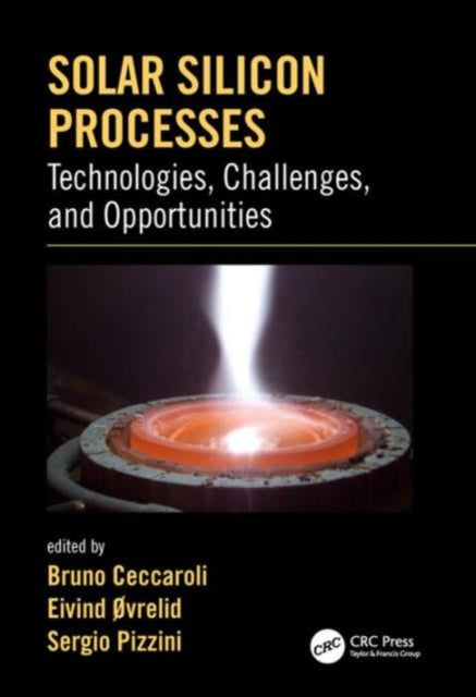 Book cover of: Solar Silicon Processes. By: Bruno Ceccaroli