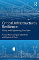 Book cover of: Critical Infrastructures Resilience. By: Auroop Ratan Ganguly