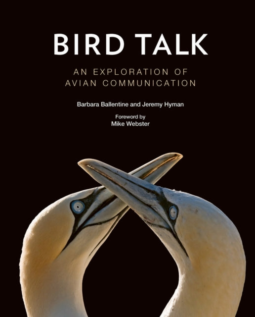 Book cover of: Bird Talk. By: Barbara Ballentine