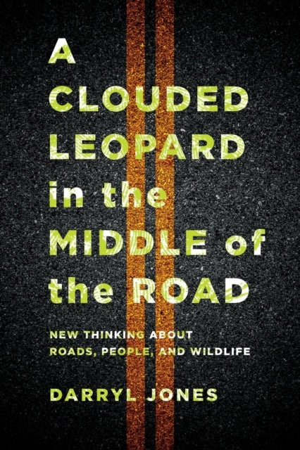 A Clouded Leopard in the Middle of the Road