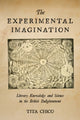 Book cover of: Experimental Imagination. By: Tita Chico