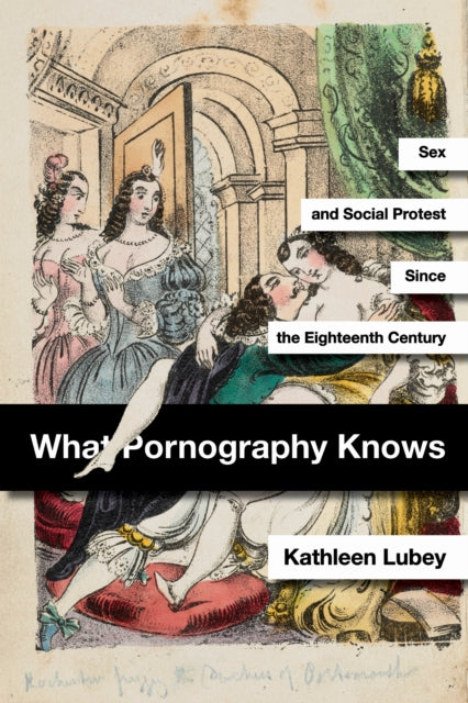 Book cover of: What Pornography Knows. By: Kathleen Lubey