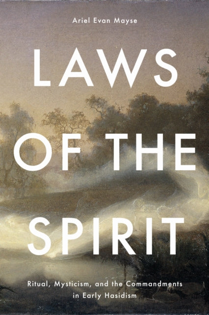 Book cover of: Laws of the Spirit. By: Ariel Evan Mayse