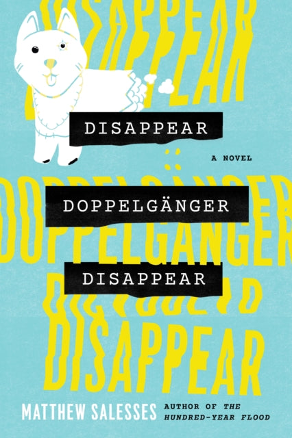 Book cover of: Disappear Doppelganger Disappear. By: Matthew Salesses