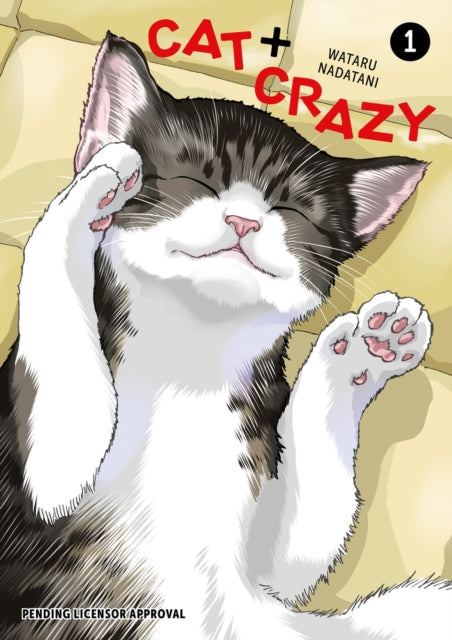 Book cover of: Cat + Crazy Volume 1