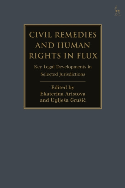 Civil Remedies and Human Rights in Flux
