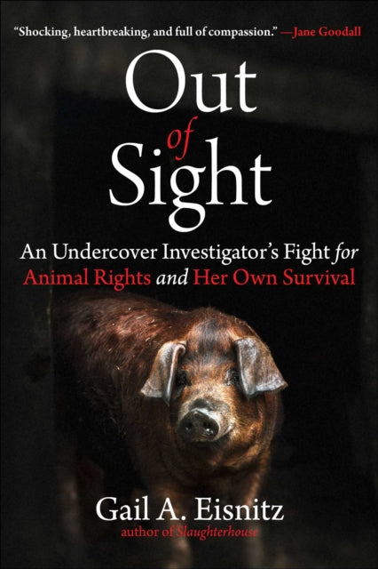 Book cover of: Out of Sight