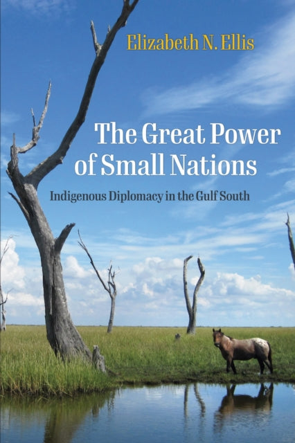 Book cover of: Great Power of Small Nations. By: Elizabeth N. Ellis