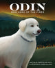 Book cover of: Odin, Dog Hero of the Fires. By: Emma Bland Smith