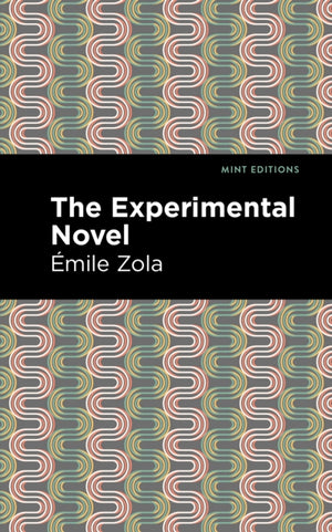 Experimental Novel