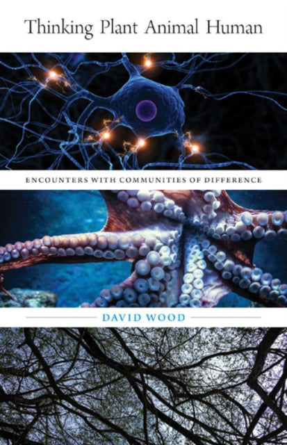 Book cover of: Thinking Plant Animal Human. By: David Wood