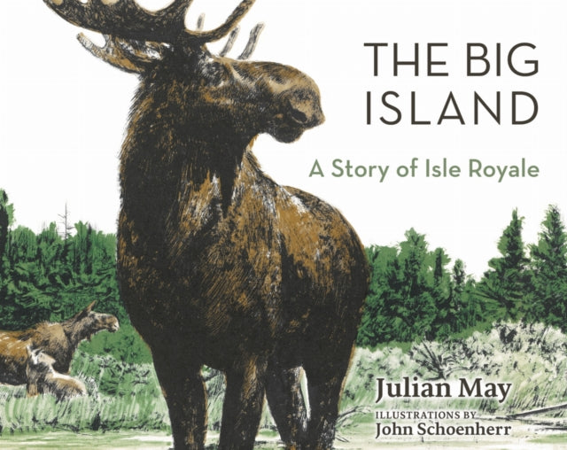 Book cover of: Big Island. By: Julian May - undifferentiated