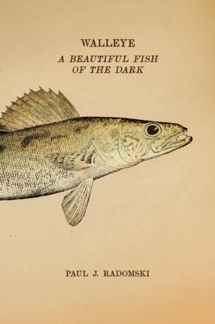 Book cover of: Walleye. By: Paul J. Radomski