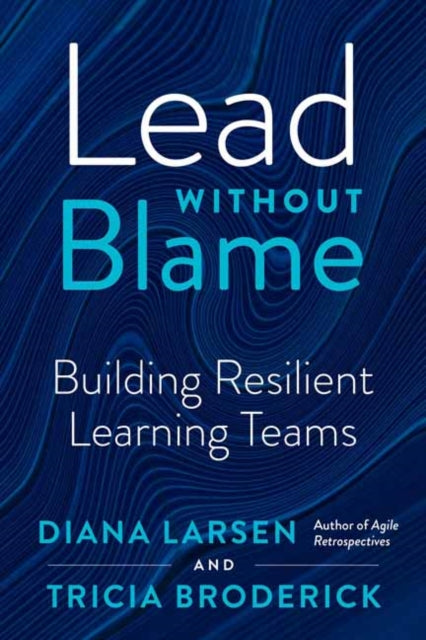 Book cover of: Lead without Blame. By: Diane Larsen