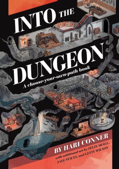 Book cover of: Into the Dungeon. By: Hari Conner