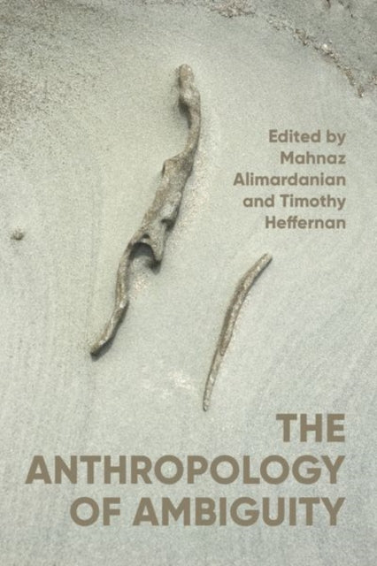 Book cover of: Anthropology of Ambiguity. By: Mahnaz Alimardanian