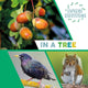 Book cover of: Explore Ecosystems: In a Tree. By: Sarah Ridley