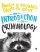 Book cover of: Introduction to Criminology. By: Pamela Davies